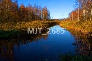 MJT_2685