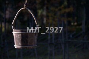 MJT_2927
