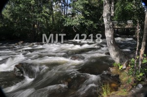 MJT_4218