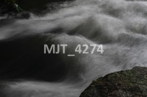MJT_4274