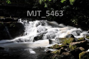 MJT_5463