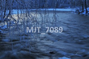 MJT_7089